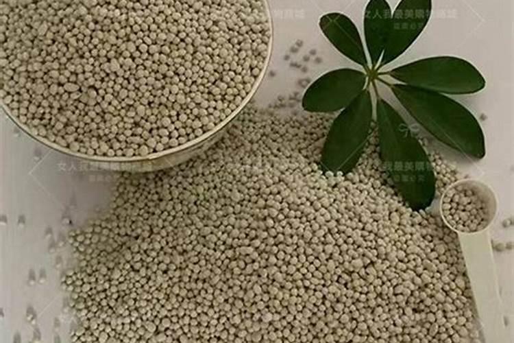 草莓旺长怎么办 提高磷钾肥的施用比例