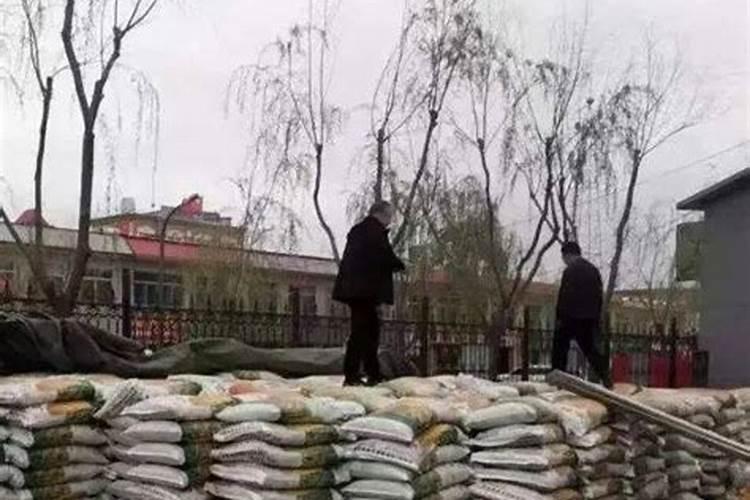 尿素可不可以作为小麦叶面肥