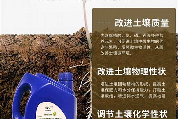蟹爪兰长骨朵前用施肥吗？用点油酱行吗？现在用施肥吗？