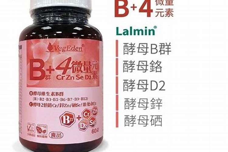 6月兰花要注意哪些养护要点