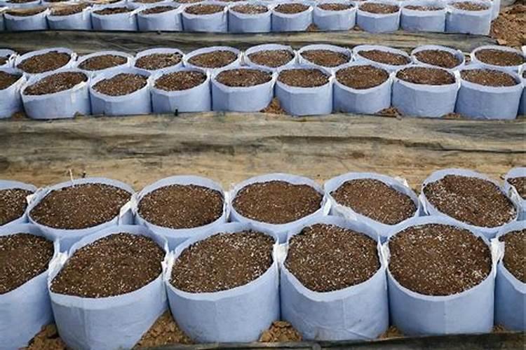 1亩地用多少有机肥合适？、有机肥多少钱一吨最新价格