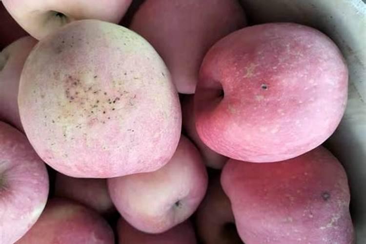 苹果上色慢怎么办 苹果着色不好怎么办