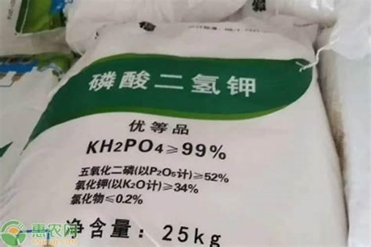 西红柿空心果怎么办？使用什么水溶肥比较好