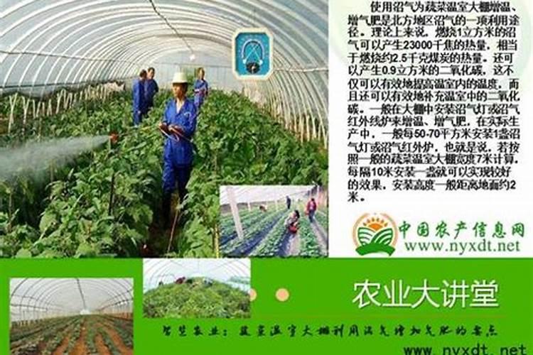 常见的缺素症状特点及防治方法是什么？