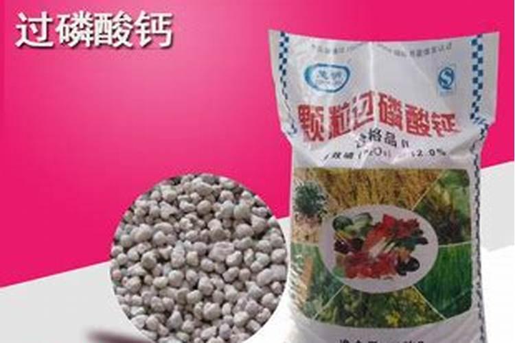 磷肥能直接撒在种子上吗