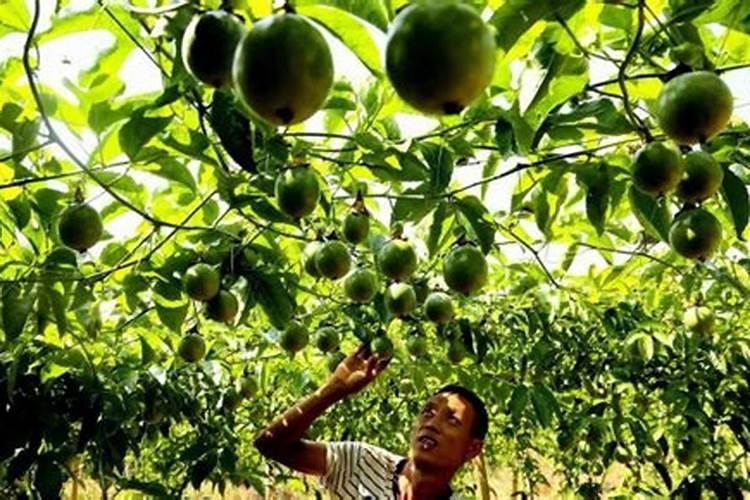 竹炭包能一直放车里吗？新车炭包放多久扔掉