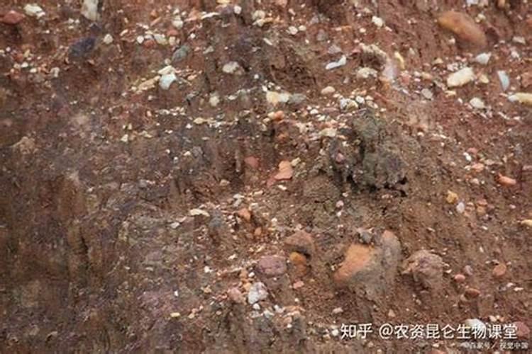 竹炭包吸甲醛可以用多久