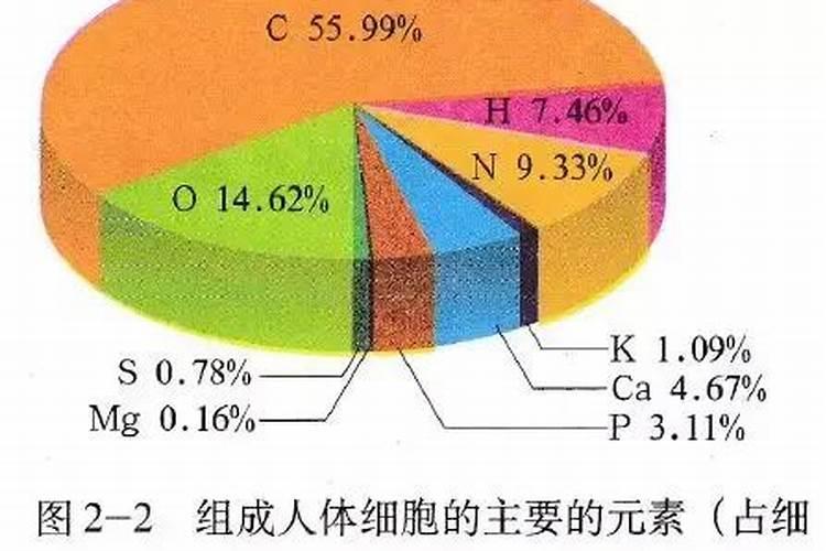 微生物细胞的化学组成物质主要有哪几种