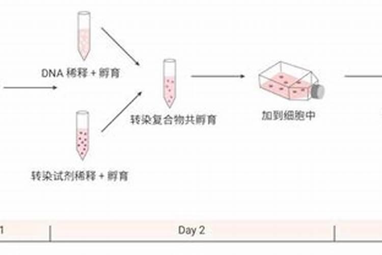 转基因豆粕沤肥,用发酵后的肥料给作物施肥,生产的蔬菜有害吗？