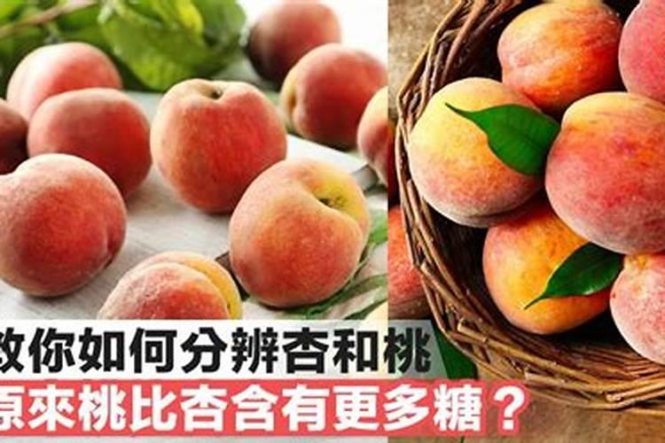 桃树对养分的需求有哪些？桃子膨果期用什么肥好？