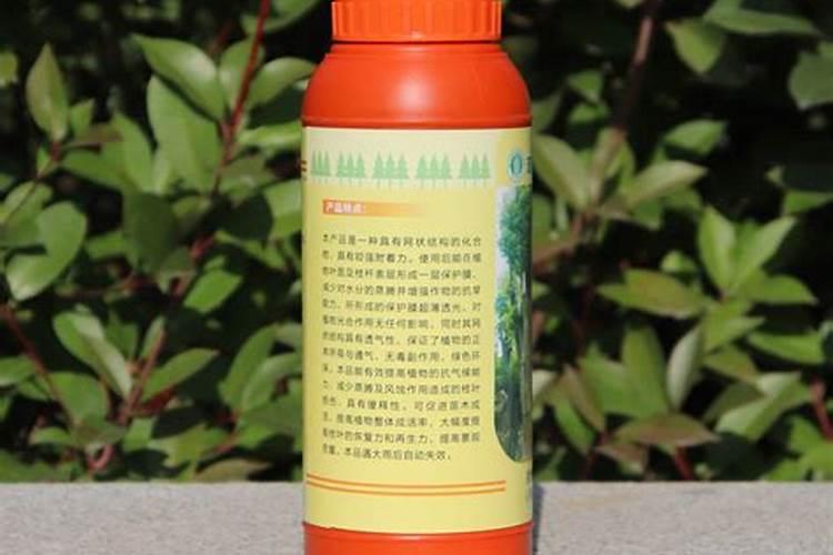 为什么要用叶面肥？叶面施肥的5大优势!