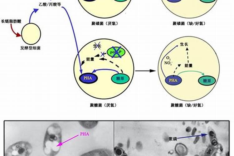 测土配方施肥仪的功能介绍