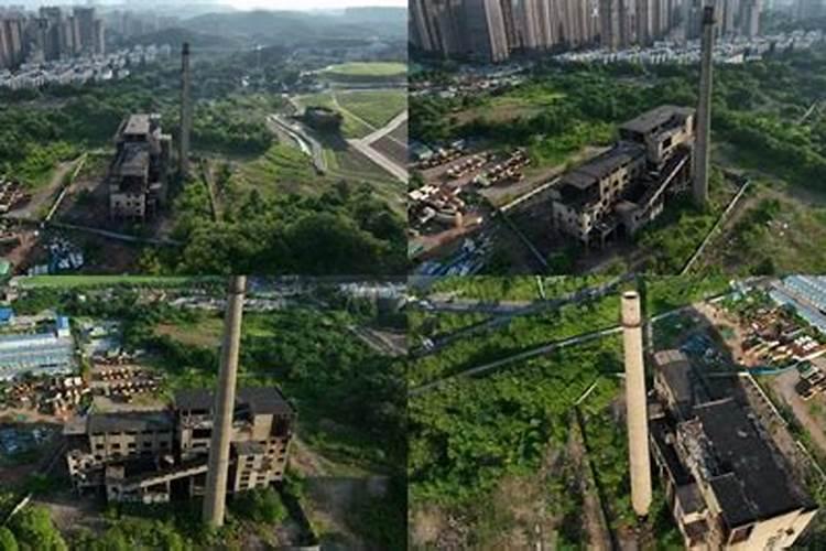 多效锌肥哪里有卖的啊