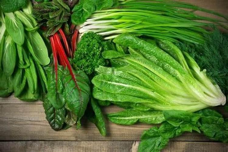 种植菠菜用啥肥料好,