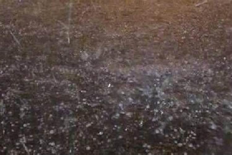 雷暴有哪些特点