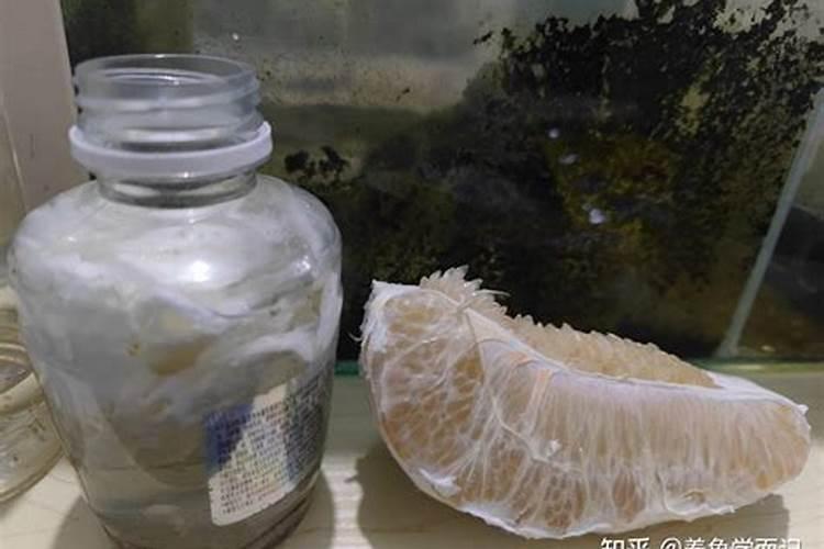 红虫养殖的技术