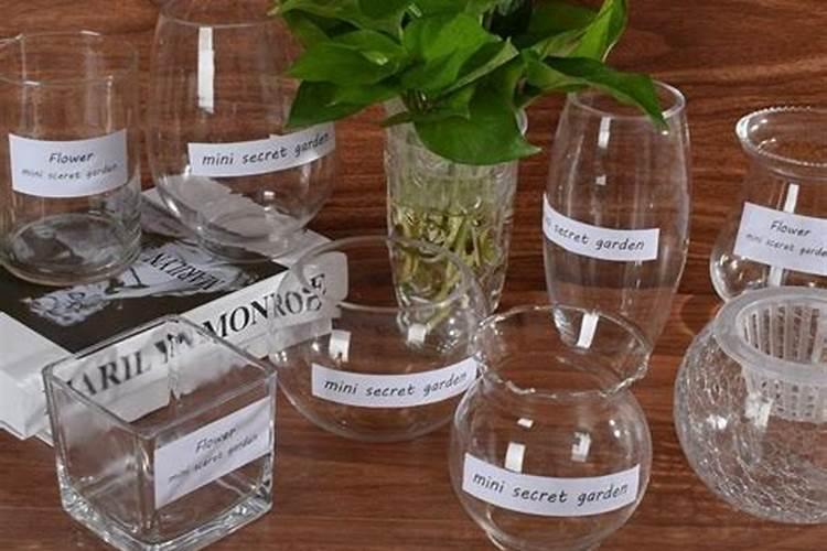 海里的水蚤有毒吗