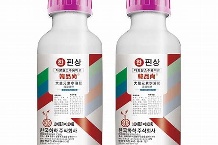 海藻精自制发酵方法