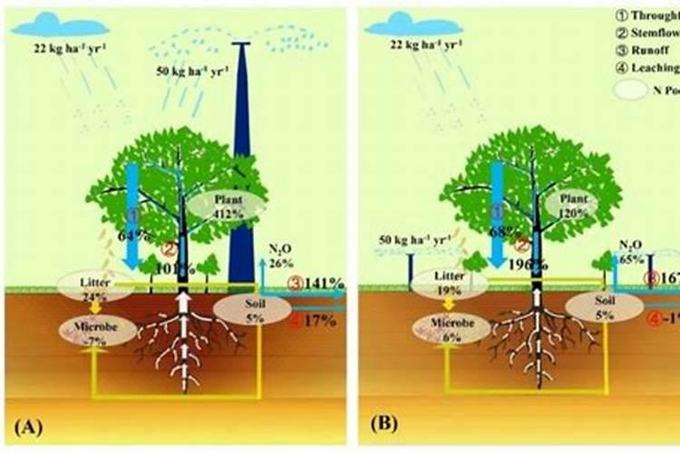 什么是二铵化肥？