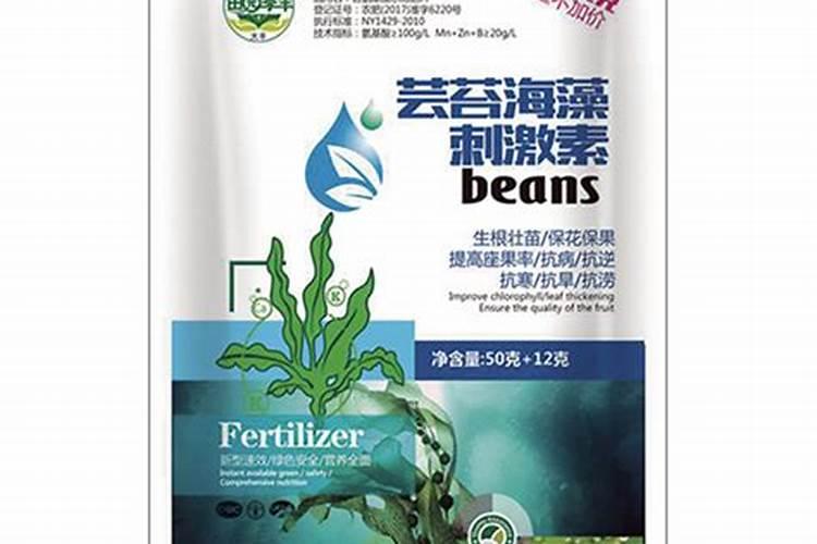 西瓜到中午就萎焉了,啥原因