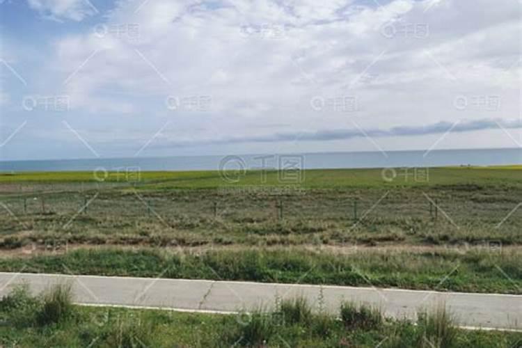 草坪怎么用有机肥