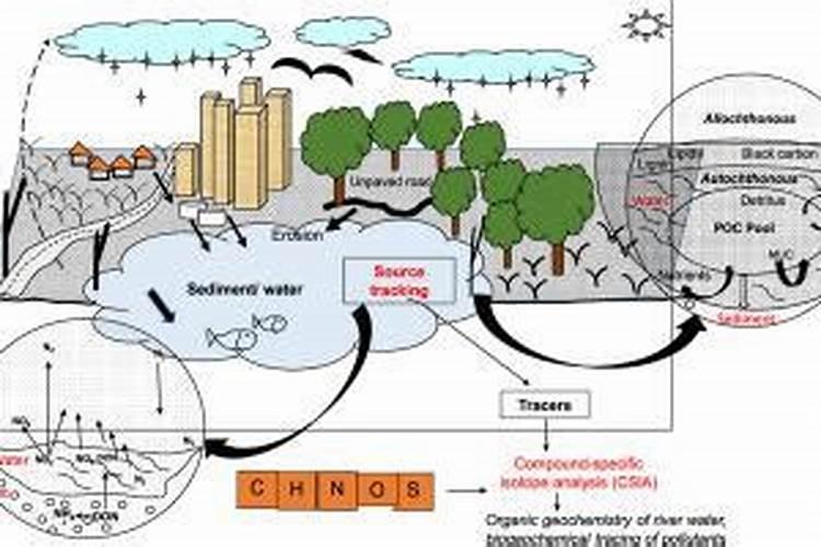 腐植酸水溶肥是什么？它有啥作用呢？