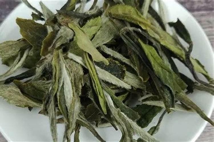 为什么天越晴水藻越绿