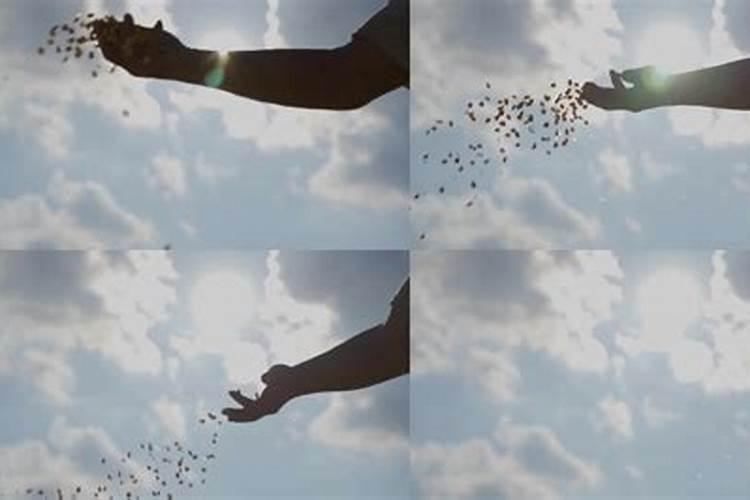 底肥施了要几天才能种