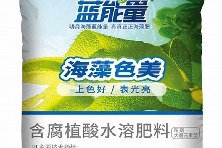 揭秘:海藻有机肥到底好不好？