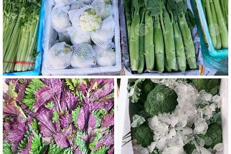 生石灰的正确使用方法生石灰和熟石灰的区别