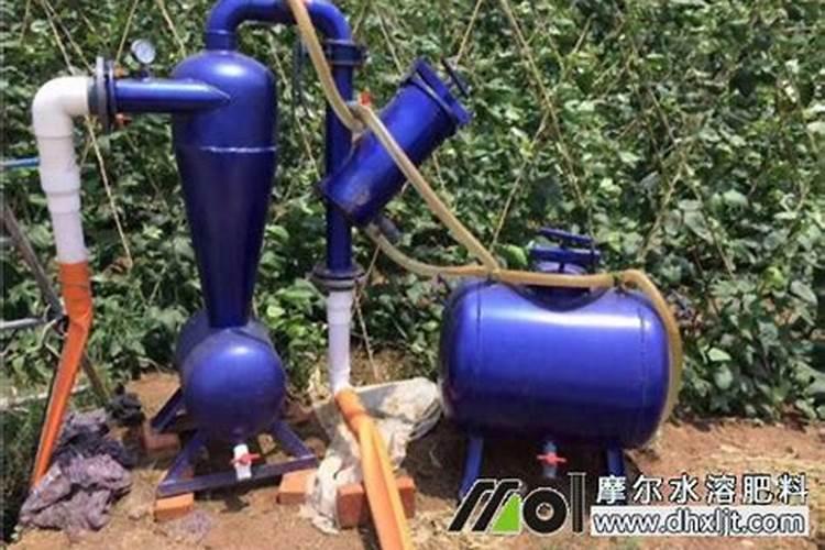 空心菜多久施一次肥(需要什么肥料)