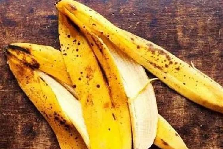 整个烂香蕉能做花肥吗