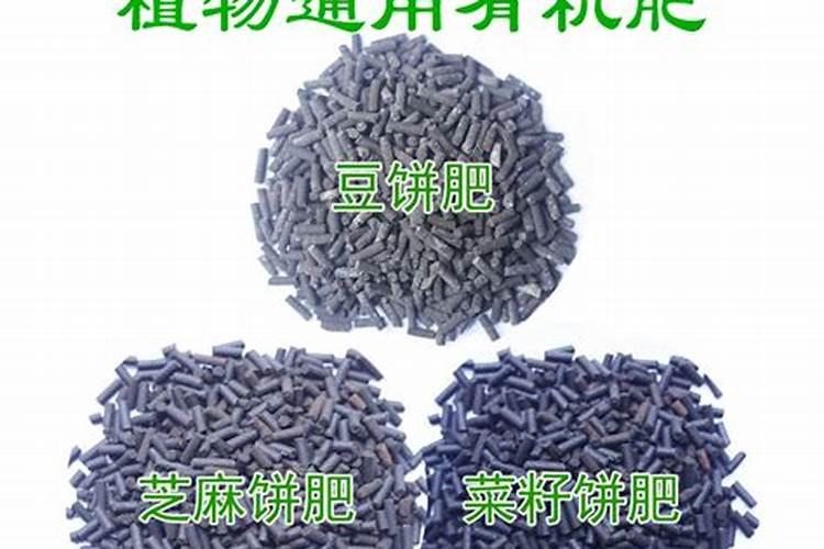 自家种菜用什么肥料最好