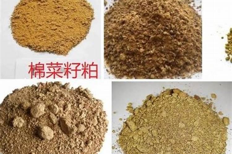 给猪鸡鱼饲喂豆粕发酵后营养更好