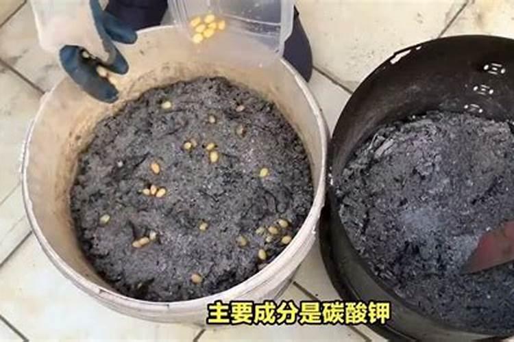 流体硼能用到白菜吗