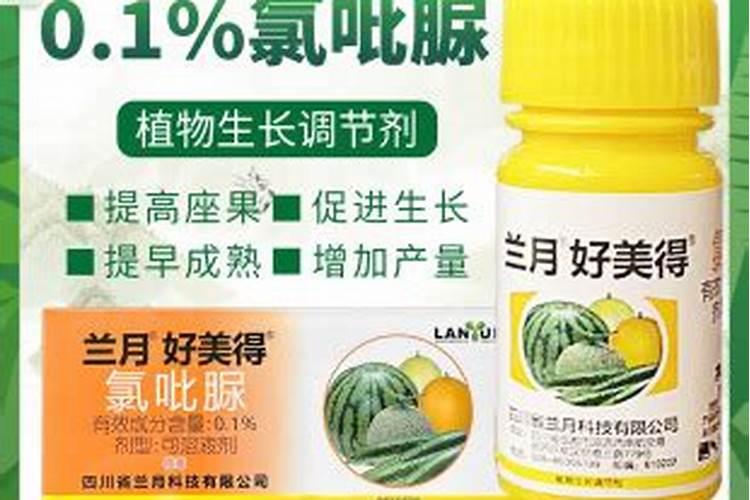 我的苦瓜结了都是弯的是什么原因,可以用什么药