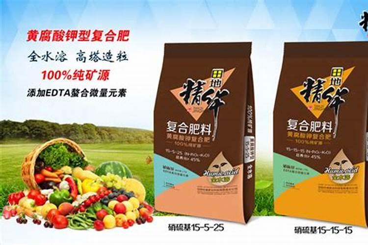 种植豆角,需要施什么肥？