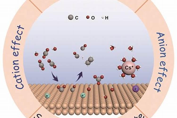 电解质水含有什么