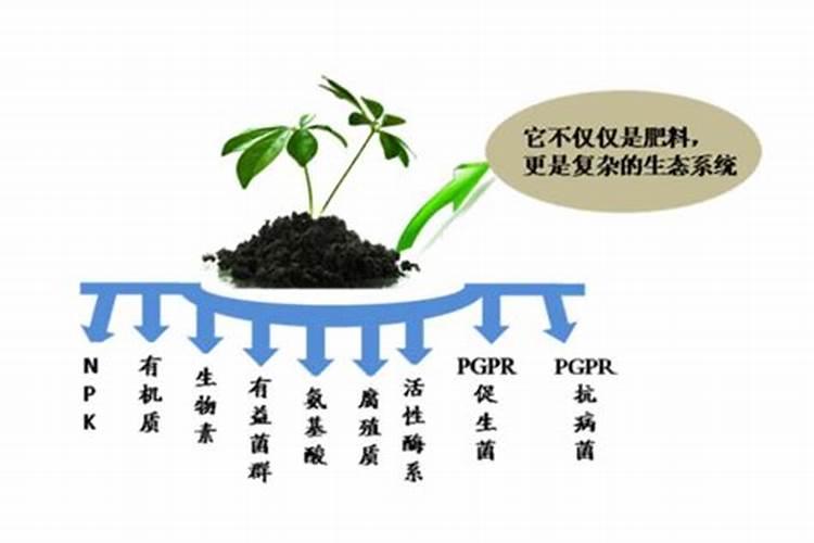 辣椒开花期打什么药