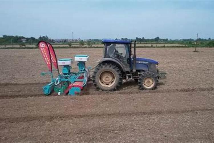 农民播种玉米时,直接与复合肥混入一起播种科学吗？