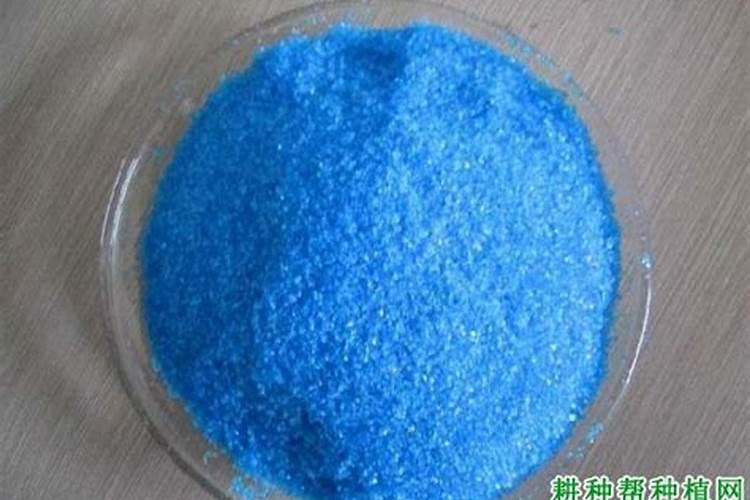 葡萄什么时间喷硫酸铜