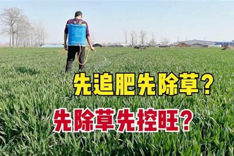 什么时候施肥最好