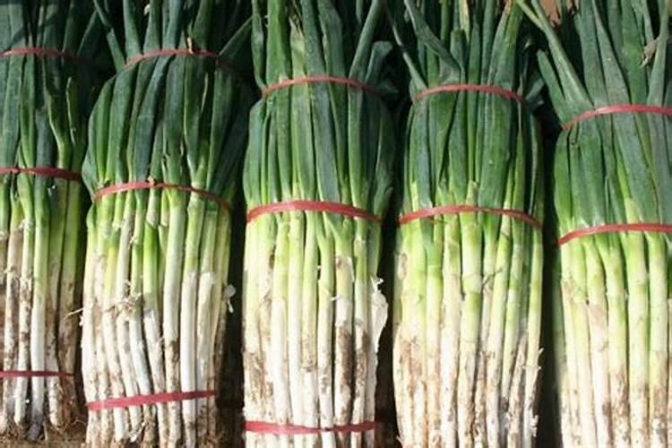 大葱保花保果需要用什么肥料？大葱用什么水溶肥效果好？