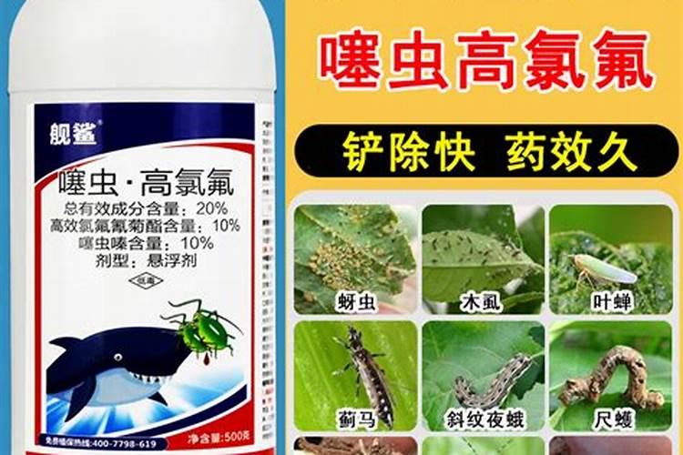 农资店淡季卖什么好