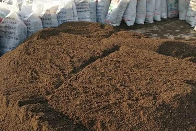 叶面肥价格一般是多少 如何选购好用的叶面肥料