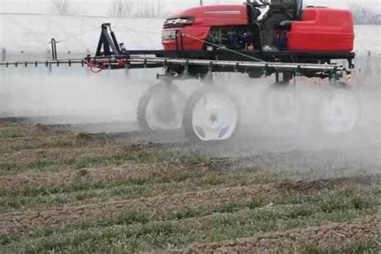 镁钙硼肥可以混用喷施吗？