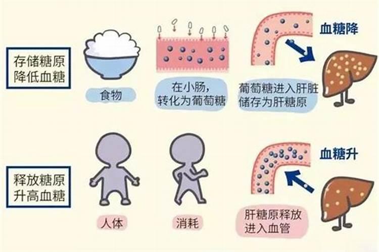 为什么血橙树开花结果后没多长时间全部都掉果了？