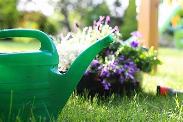 花种下多久可以施肥