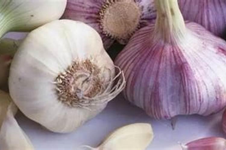 大蒜控释肥哪个牌子好