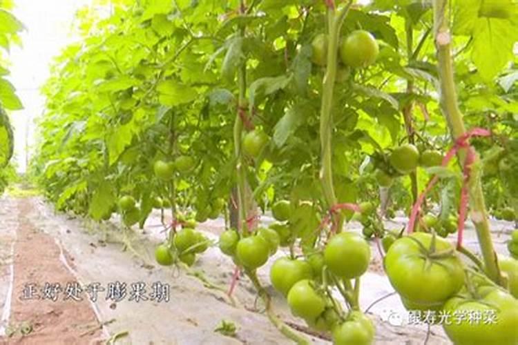 碳酸钾可以做肥料吗